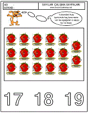 okul öncesi sayı kavram çalışmaları